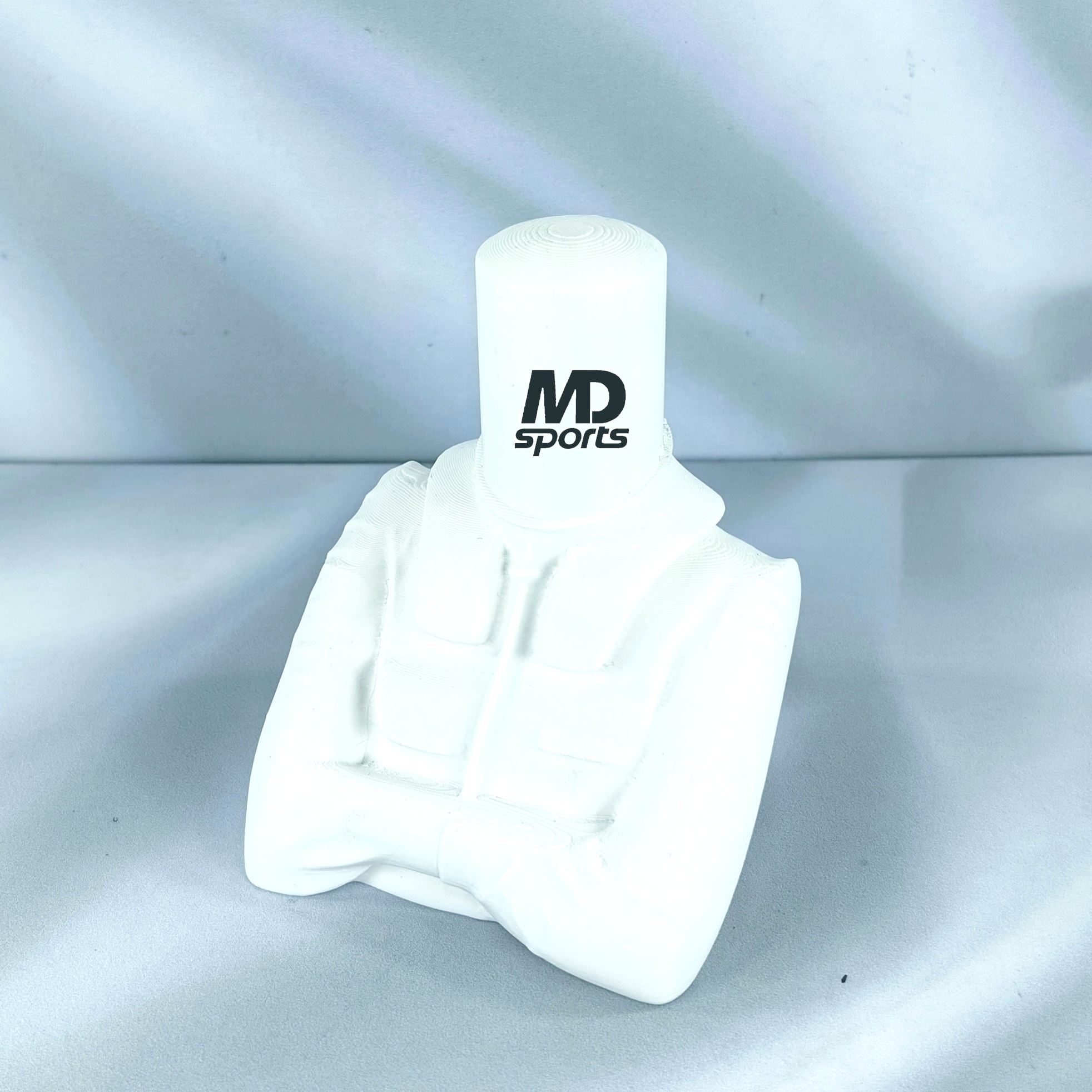 Base Casco Formula 1 Figura Piloto Escala 1:4